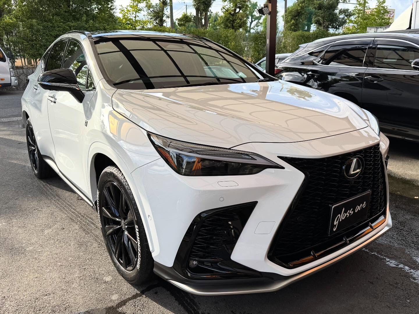 レクサスNX350hにボディーガラスコーティング「LUXIA